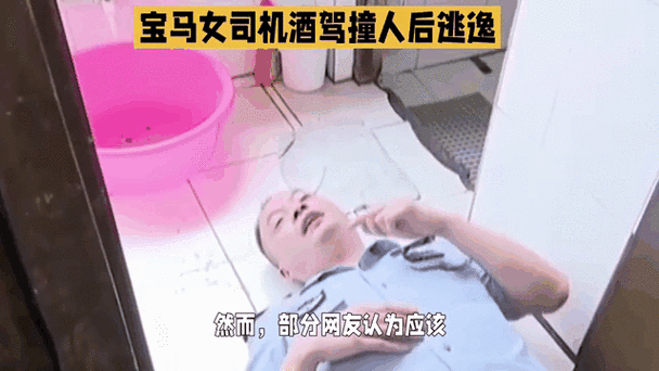 司机酒驾母子1死1伤,专业的一站式物流信息网_123随叫随到