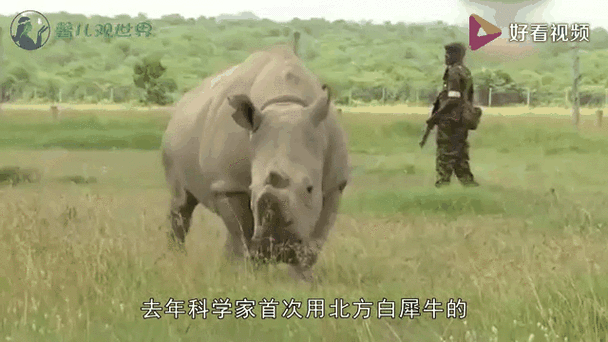 技术降本 第30页