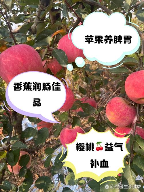 脾胃弱少吃3种水果,天天发车准时送达_123随叫随到