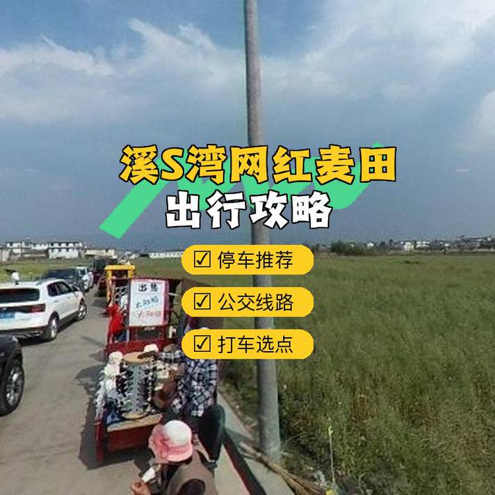 网红麦田被游客踩踏,让发货找车找物流更简单_123随叫随到