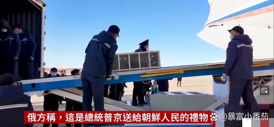 朝鲜证实出兵俄罗斯,专业的一站式物流信息网_123随叫随到