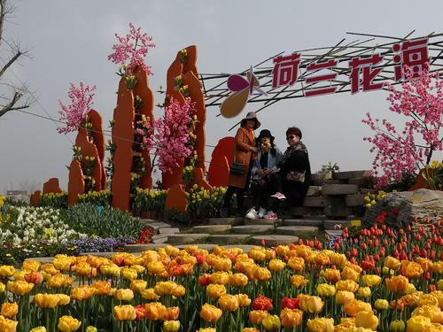 3万平方米彩虹花海,让发货找车找物流更简单_123随叫随到
