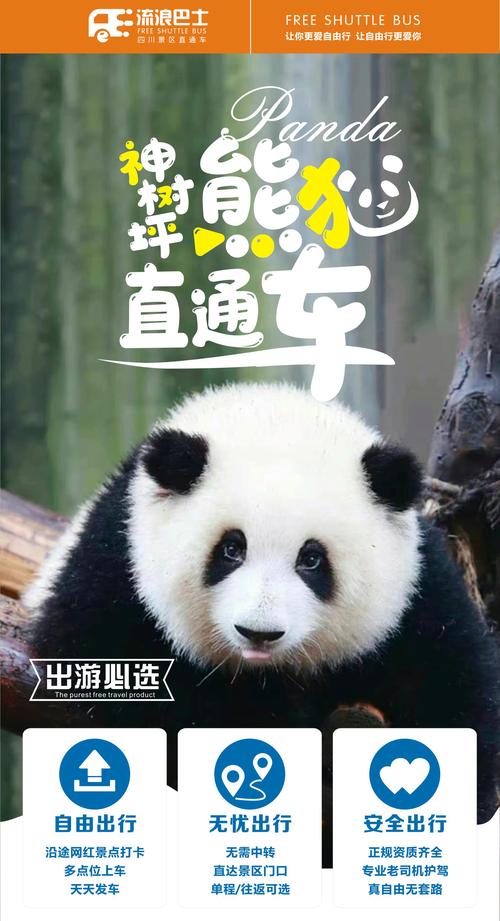 游客偶遇野生大熊猫,专业的一站式物流信息网_123随叫随到