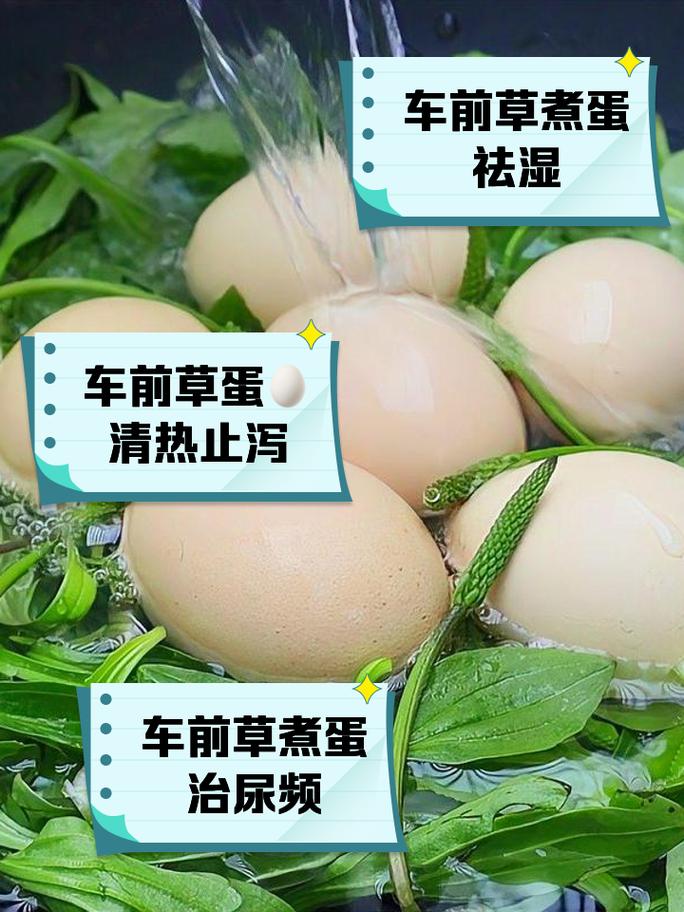 1分钟剥130个煮鸡蛋,让发货找车找物流更简单_123随叫随到