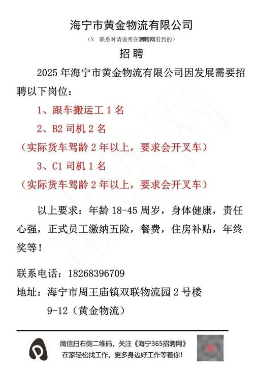 小伙11年探3座金矿,专业的一站式物流信息网_123随叫随到
