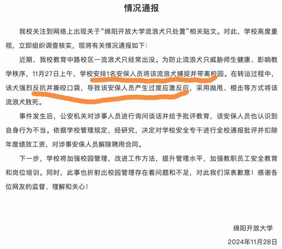 流浪犬进教室被打死,让发货找车找物流更简单_123随叫随到