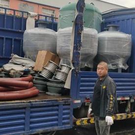 流浪犬进教室被打死,专业的一站式物流信息网_123随叫随到