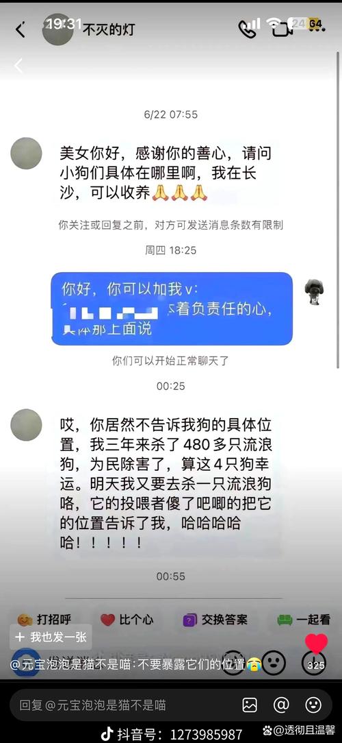 流浪犬进教室被打死,天天发车准时送达_123随叫随到