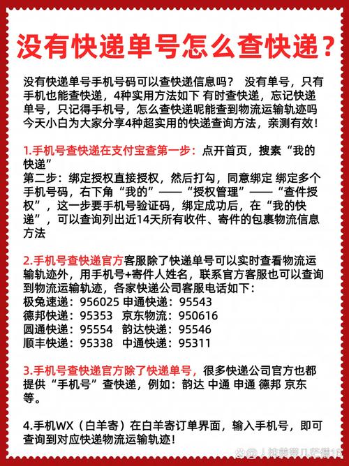 卡皮巴拉出逃40天,快递单号查询_123随叫随到