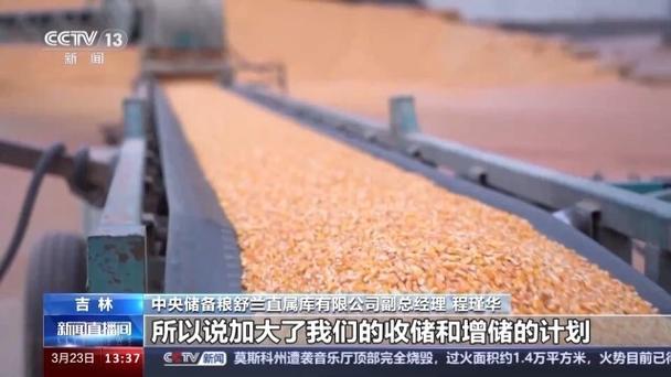 秋粮收购达3.45亿吨,让发货找车找物流更简单_123随叫随到