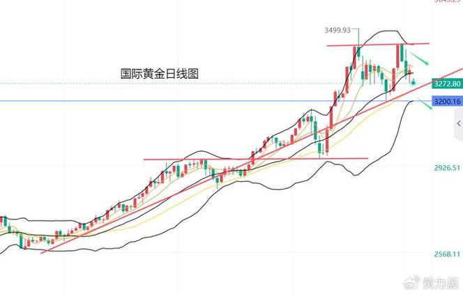 中美会谈联合声明,仓配一体,时效速达