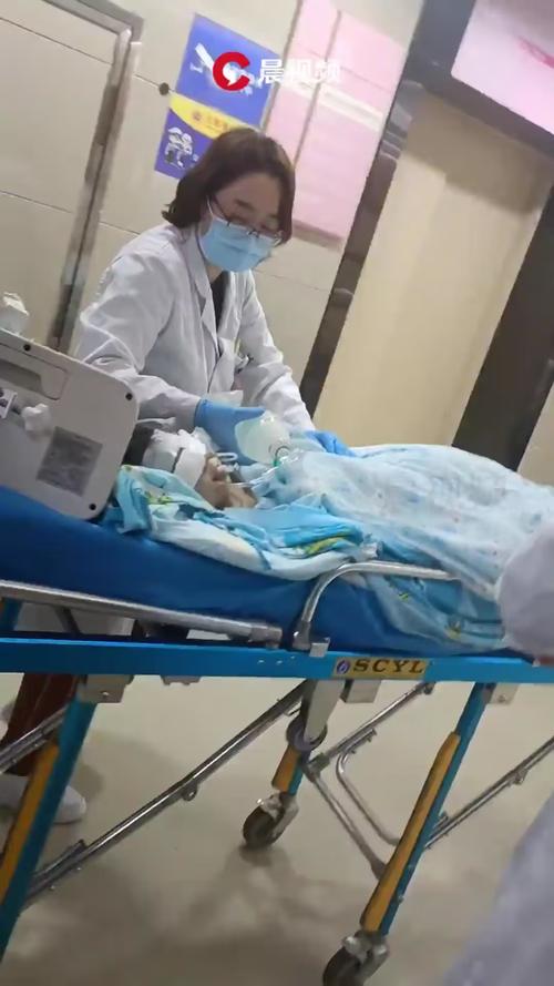 女童被狗扑咬受伤,专业的一站式物流信息网_123随叫随到