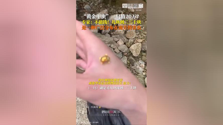 20万买黄金亏1.6万,仓配一体,时效速达