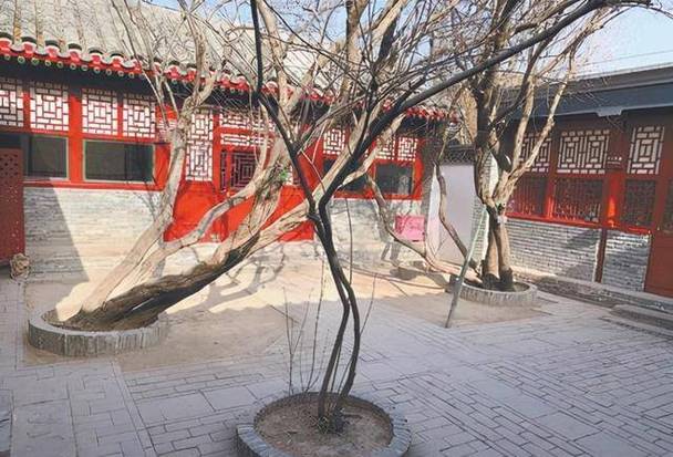 中千万父亲砍伤前妻,仓配一体,时效速达
