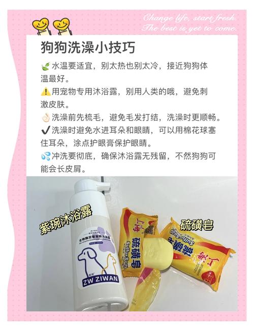 洗澡香皂里洗出金币,仓配一体,时效速达