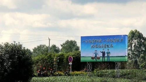 国家赔偿金标准更新,专业的一站式物流信息网_123随叫随到