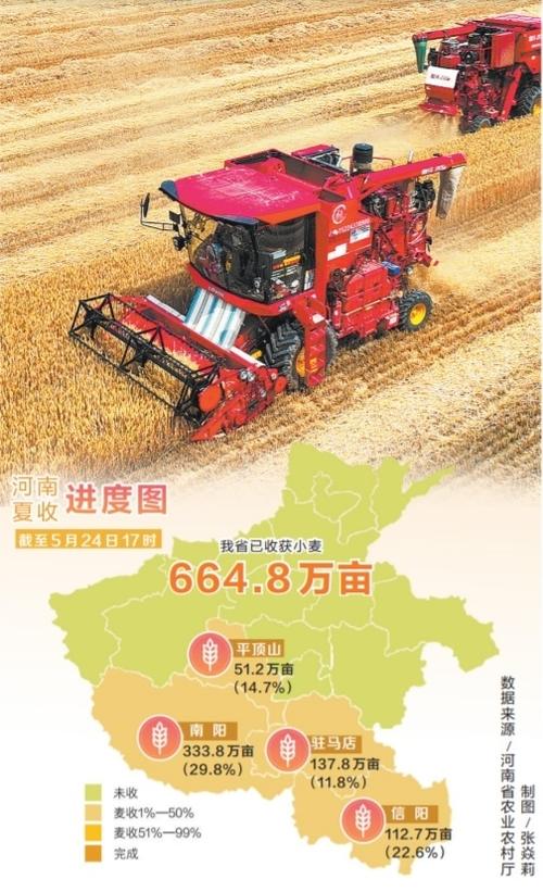 小麦3亩地仅收300斤,天天发车准时送达_123随叫随到