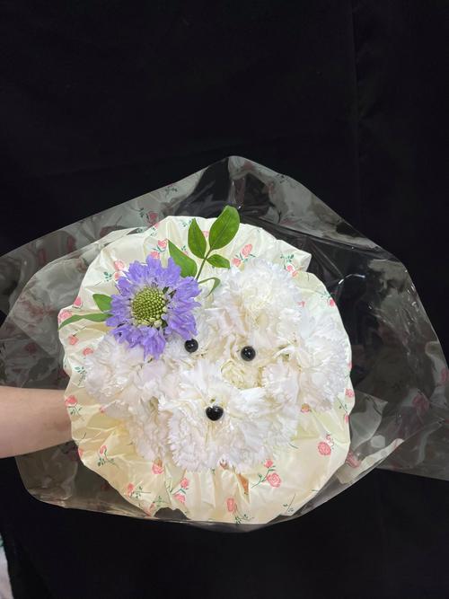 卖小狗花束月入3万,专业的一站式物流信息网_123随叫随到