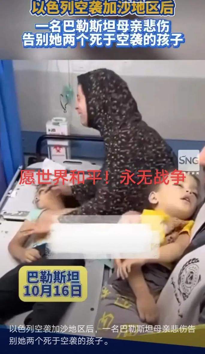 9名子女死于以空袭,物流专线直达_123随叫随到
