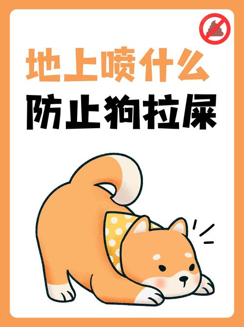 600一节课教狗如厕,天天发车准时送达_123随叫随到