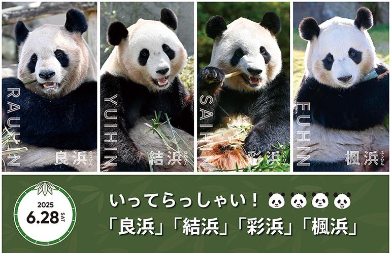 2025年5月27日 第10页