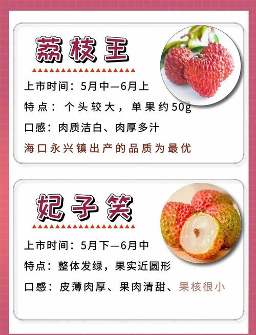 荔枝冷藏再吃不上火,专业的一站式物流信息网_123随叫随到