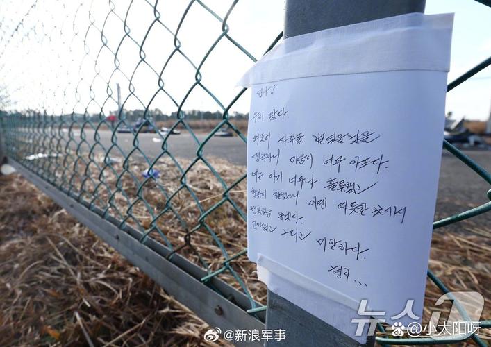 韩国坠机致4人遇难,天天发车准时送达_123随叫随到