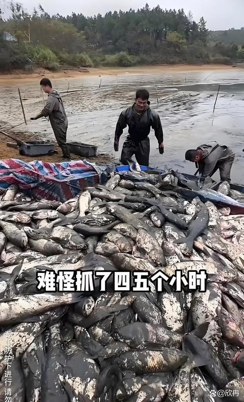 把西瓜扔鱼塘喂鱼,仓配一体,时效速达