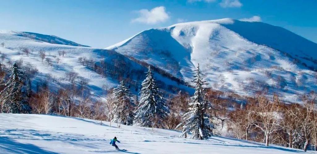 北海道附近或有强震,上门取货_123随叫随到