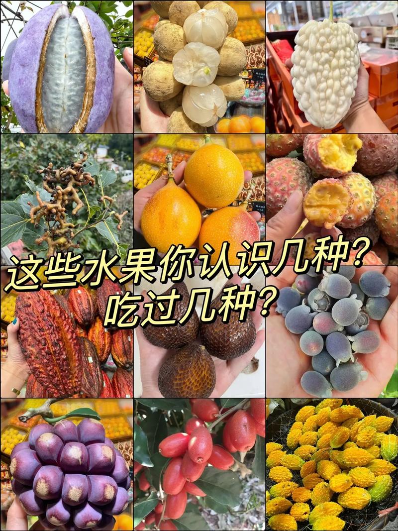 2025年6月3日 第13页