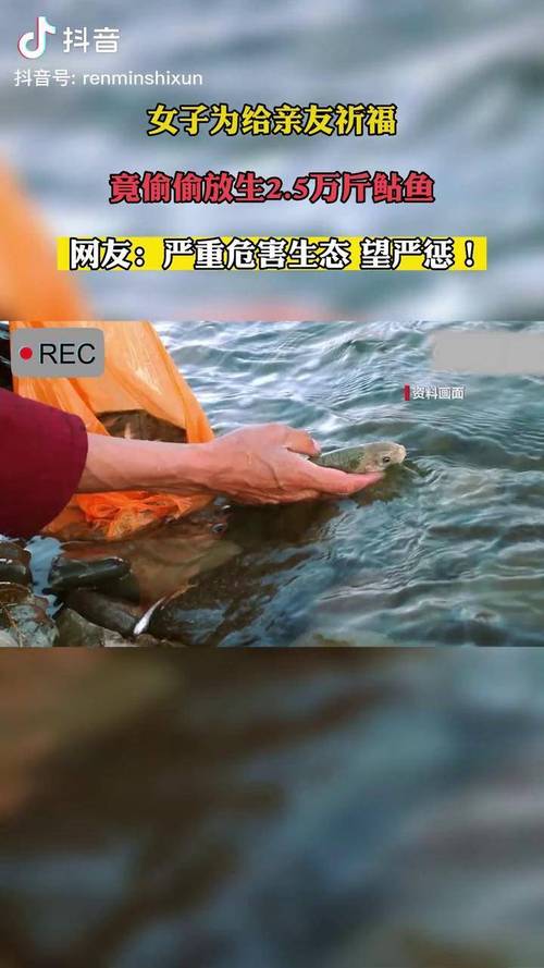 放生2.5万斤外来鲇鱼,上门取货_123随叫随到