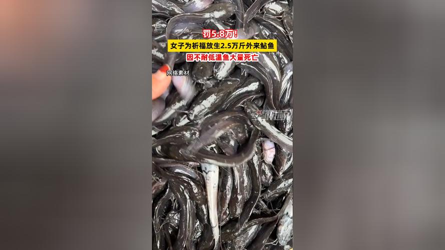 2025年6月5日 第19页