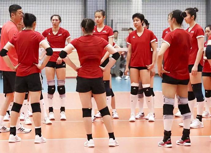 中国女排3比0比利时,专业的一站式物流信息网_123随叫随到