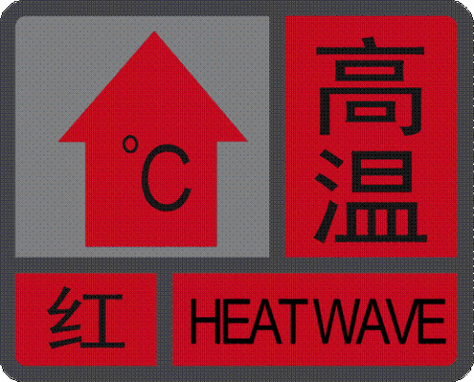 2025年6月5日 第8页