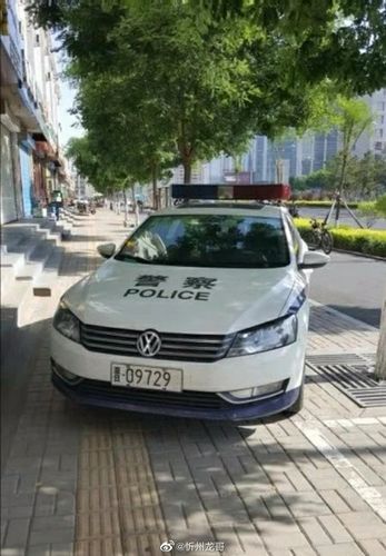 女网红违停跳上警车,仓配一体,时效速达
