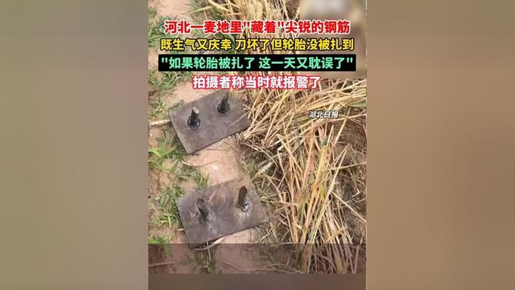 麦田被放金属尖锐物,上门取货_123随叫随到