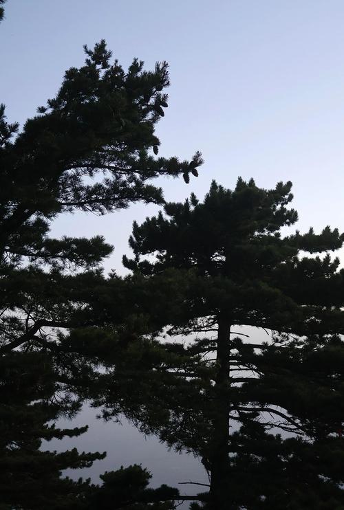 夜爬华山看到火箭,物流专线直达_123随叫随到