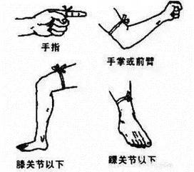 被蛇咬反抓蛇再遭咬,快递单号查询_123随叫随到
