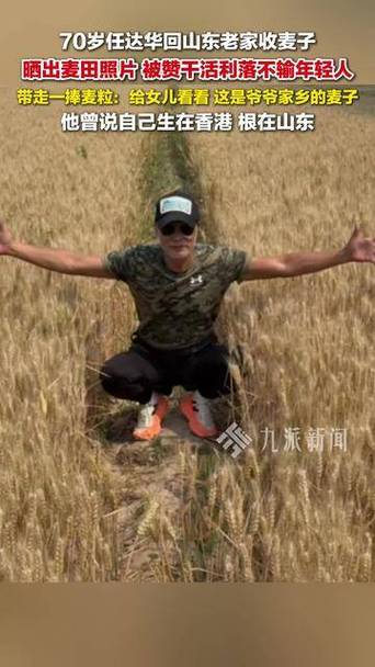 任达华回山东收麦子,让发货找车找物流更简单_123随叫随到