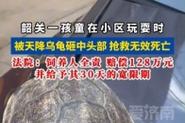 小孩被天降乌龟砸死,上门取货_123随叫随到