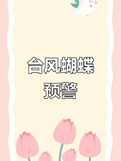 台风蝴蝶或今登海南,物流专线直达_123随叫随到