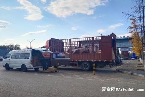 触高压线农机手身亡,快递单号查询_123随叫随到