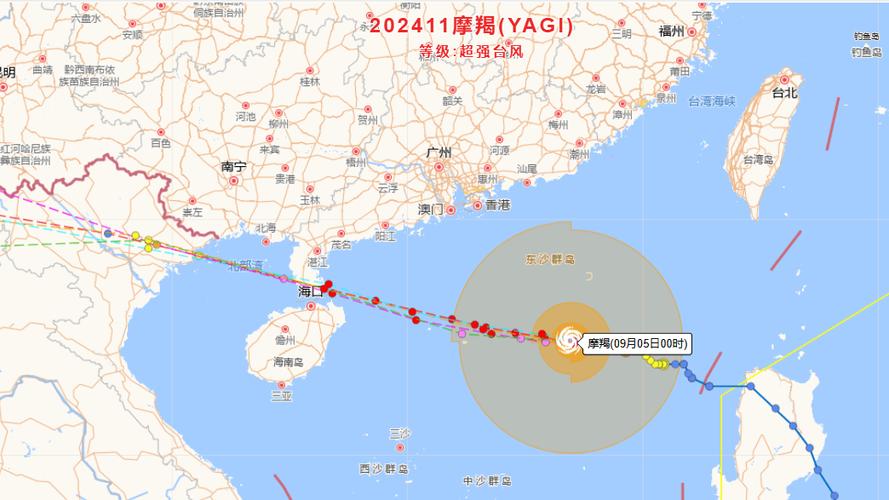 台风蝴蝶在海南登陆,仓配一体,时效速达