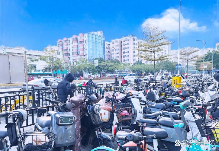 广东街头惊现走地鱼,仓配一体,时效速达