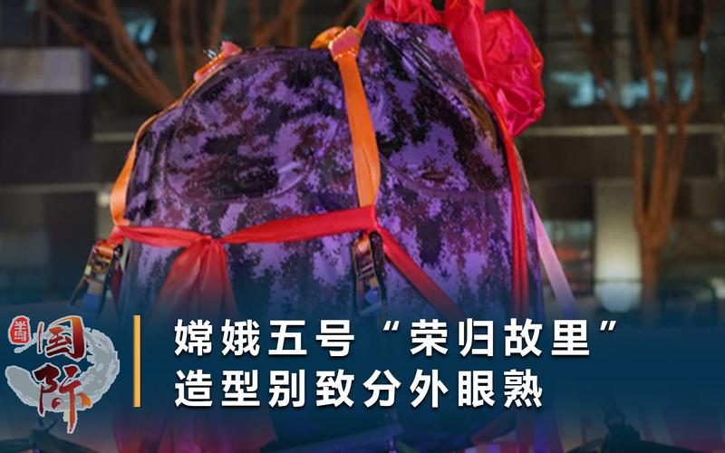 运20头戴大红花亮相,物流专线直达_123随叫随到