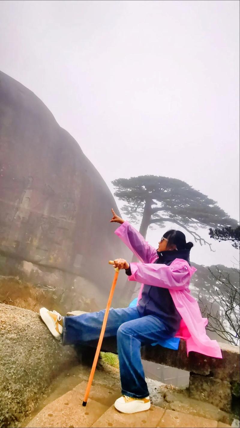 广西高速迎客松被砍,上门取货_123随叫随到