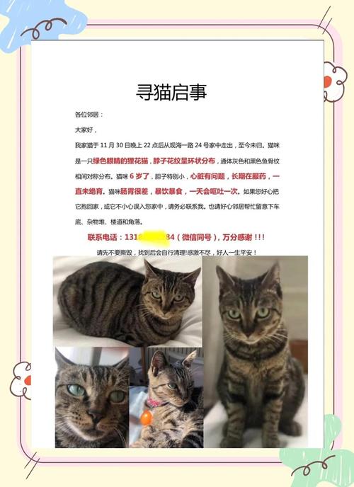 猫咪从16楼意外坠落,ip138快递查询网_随叫随到