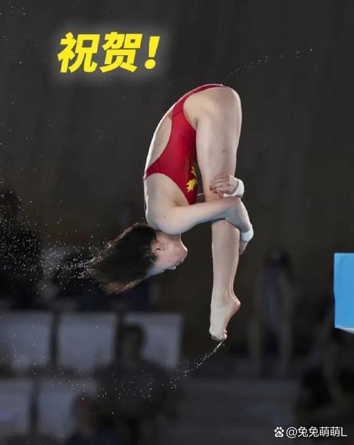 全红婵家新房被淹,专业的一站式物流信息网_123随叫随到