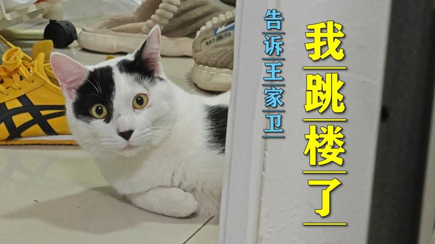 2025年6月17日 第3页
