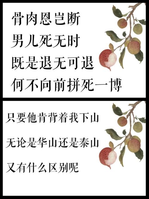 一骑红尘妃子笑读音,专业的一站式物流信息网_123随叫随到